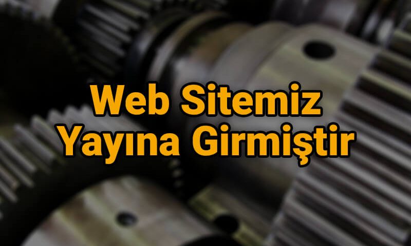 Web Sitemiz Yayına Girmiştir